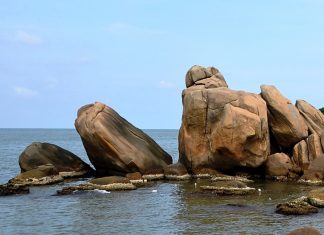 Du lịch Cà Mau khám phá thích thú vô cùng