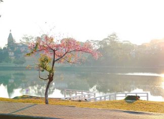 7 địa điểm du lịch Đà Lạt bạn không nên bỏ qua khi tới Đà Lạt