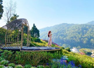 Du lịch Đà Lạt mùa thu, khám phá vẻ đẹp lãng mạn khiến bao người mê mẩn Du lịch Đà Lạt mùa thu, khám phá vẻ đẹp lãng mạn khiến bao người mê mẩn