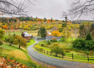 Chia sẻ kinh nghiệm du lịch Mỹ mùa thu, khám phá những cung đường đẹp nhất Chia sẻ kinh nghiệm du lịch Mỹ mùa thu, khám phá những cung đường đẹp nhất