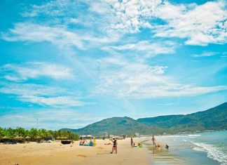 Khám phá top 20 địa điểm du lịch Quảng Ngãi hot nhất năm 2023 Khám phá top 20 địa điểm du lịch Quảng Ngãi hot nhất năm 2023