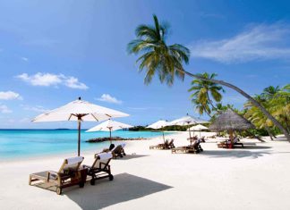 Review Bãi Dài Nha Trang có gì hot? Trọn bộ kinh nghiệm ăn chơi thả ga Review Bãi Dài Nha Trang có gì hot? Trọn bộ kinh nghiệm ăn chơi thả ga