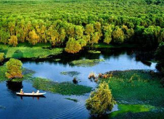 Tour du lịch Miền Tây – Top 18 địa điểm hấp dẫn du khách nhất Rừng Tràm Trà Sư - An Giang