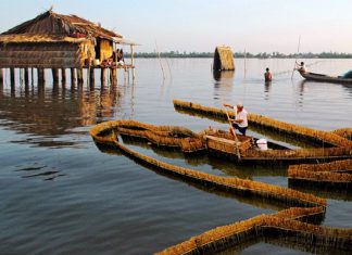 Khám phá biển hồ giữa chốn đồng bằng tại Đầm Thị Tường Cà Mau Thưởng thức cảnh đẹp sông nước Cà Mau tại Đầm Thị Tường