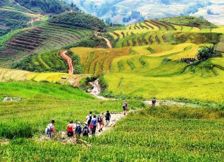 Du lịch Sapa mùa hè có gì đẹp? Top những điểm tham quan đặc sắc nhất Du lịch Sapa mùa hè có gì đẹp? Top những điểm tham quan đặc sắc nhất