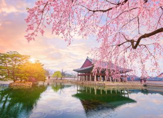 Khám phá Xứ sở kim chi – Du hành đến vùng đất lãng mạn Khám phá Xứ sở kim chi - Du hành đến vùng đất lãng mạn