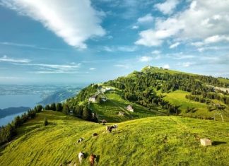 Chiêm ngưỡng toàn cảnh vẻ đẹp núi Rigi khi đi tour du lịch Thuỵ Sĩ Chiêm ngưỡng toàn cảnh vẻ đẹp núi Rigi khi đi tour du lịch Thuỵ Sĩ